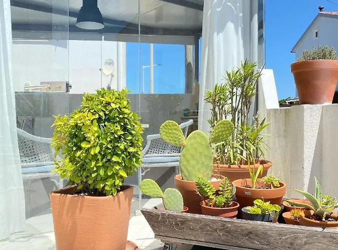 O Tourinho Casa de hóspedes 3*